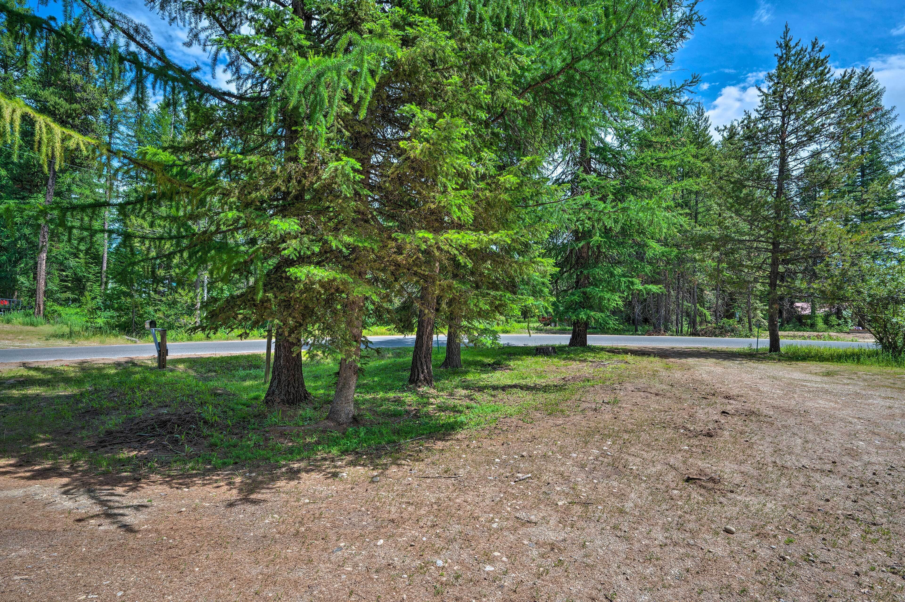 A forested area with a dirt path and a road in the background.