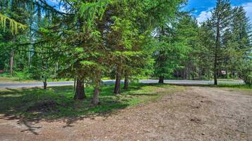 A forested area with a dirt path and a road in the background.