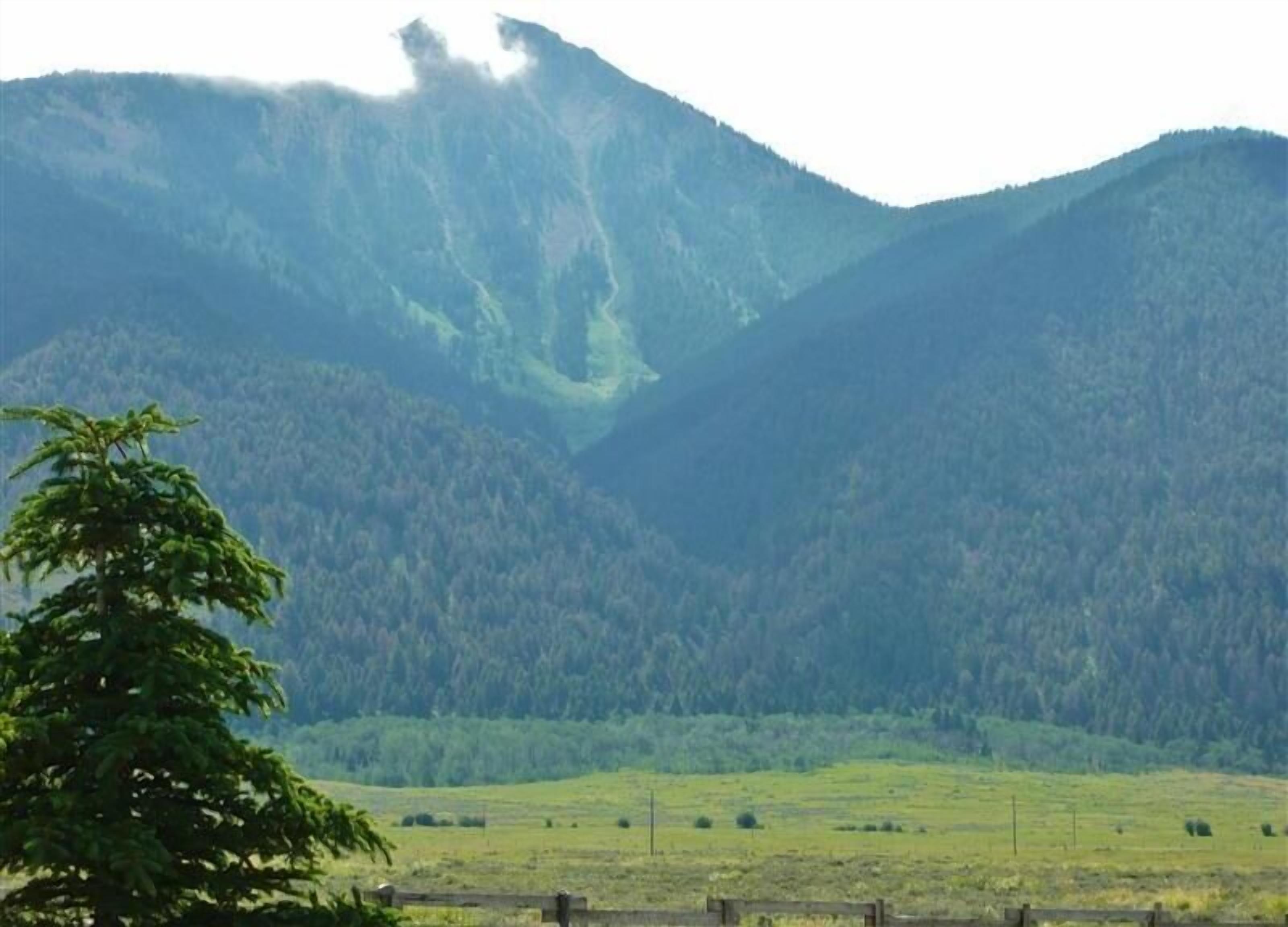 A mountainous landscape with a valley and a tree in the foreground.