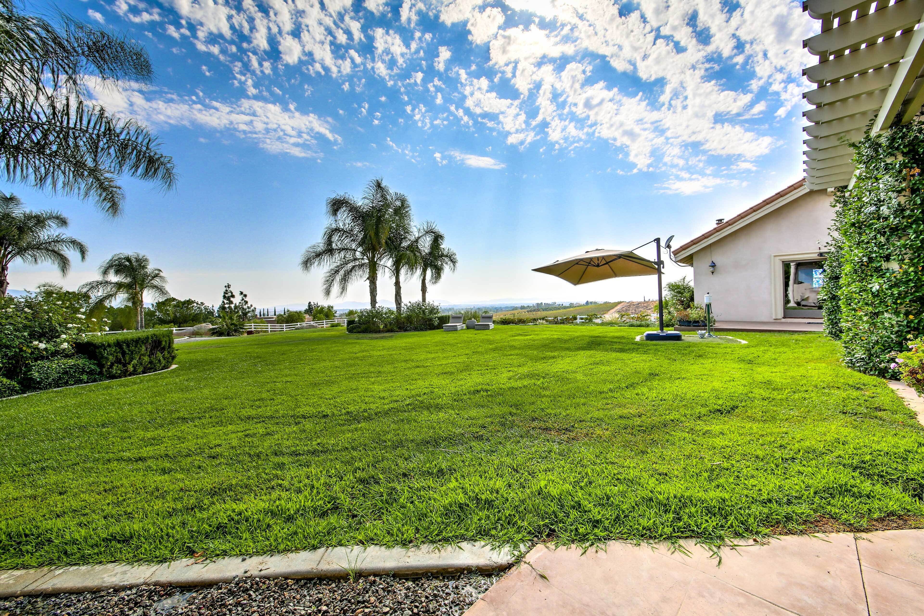A well-maintained lawn with a patio umbrella, palm trees, and a house with a white exterior.