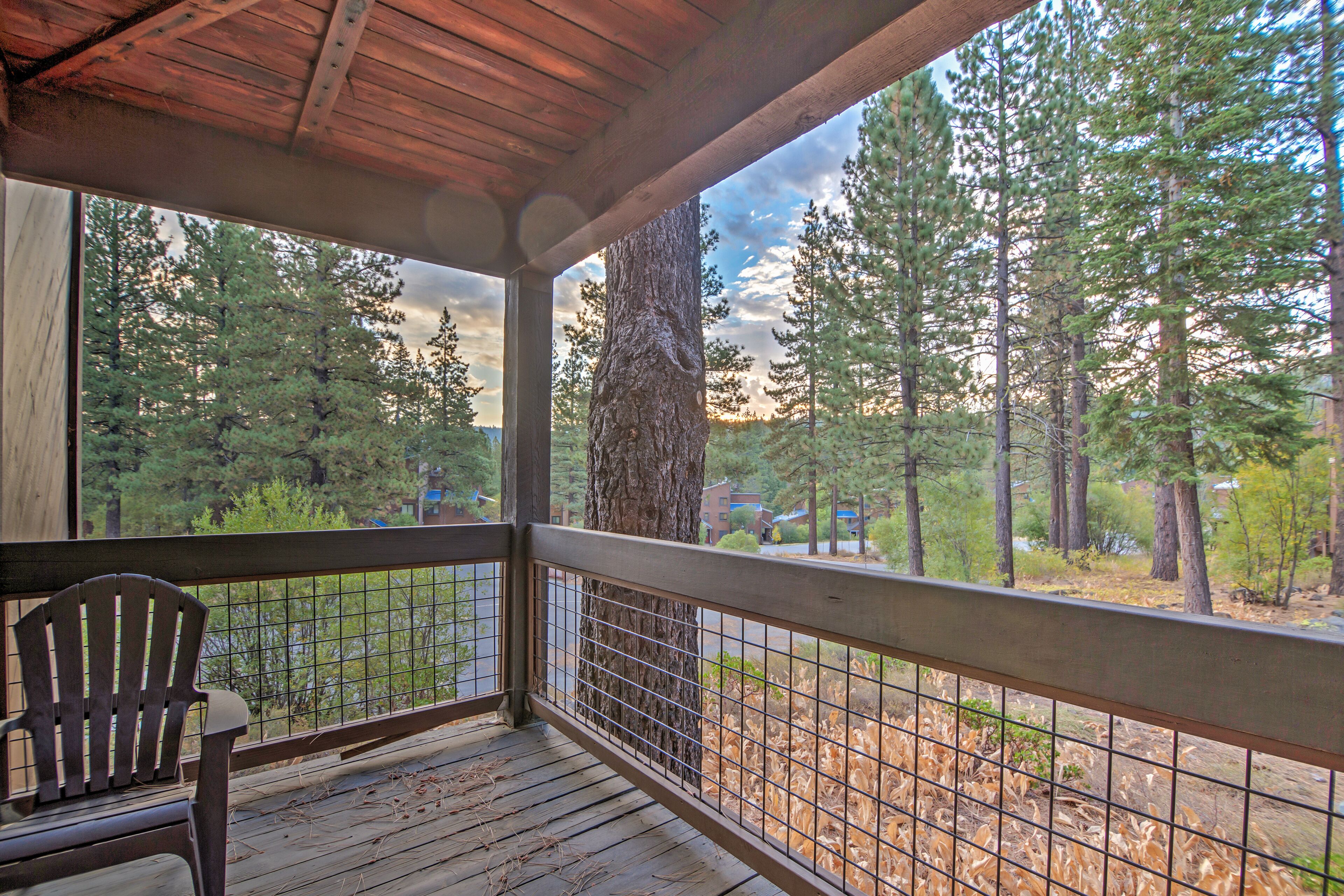A wooden deck with a chair, overlooking a forested area with tall trees and a clear sky.