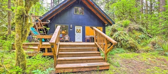 Peaceful Wooded Cabin By Mt. Baker Ski Area!