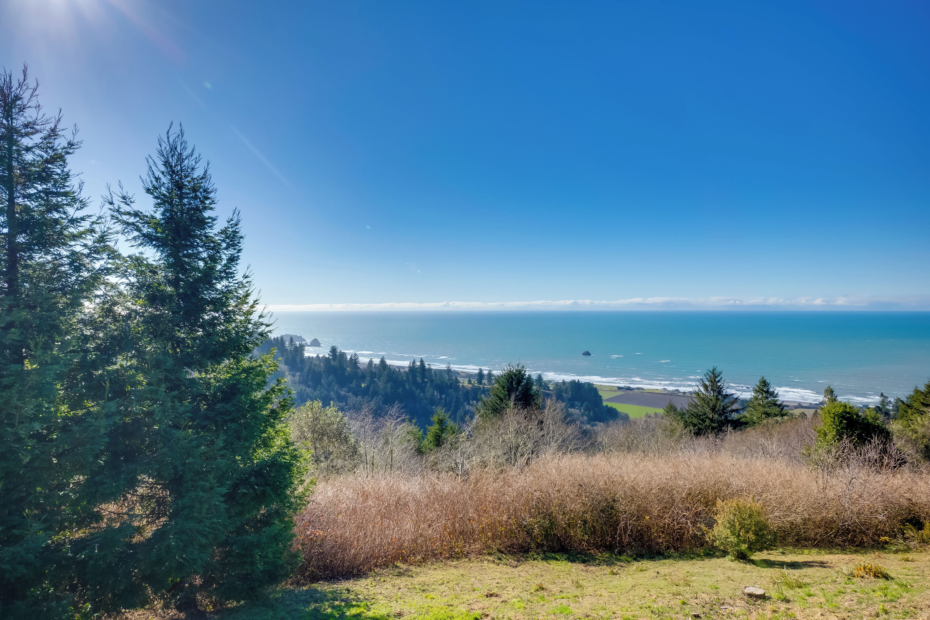 A coastal landscape with dense trees and a view of the ocean.