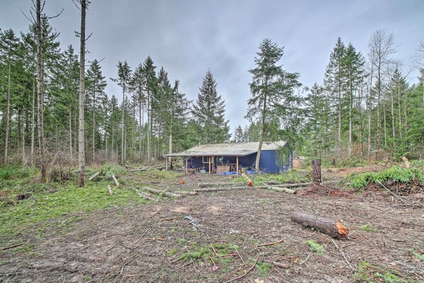 Cottage (1 Bedroom) | Interior - Quaint, Cozy Outdoor Retreat Near Mt Rainier! (Roy)