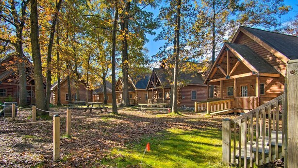 A log cabin-style building with a porch and picnic table, surrounded by trees and a grassy area. - Rustic Rothbury Cabin w/ Resort Amenity Access! (Rothbury)