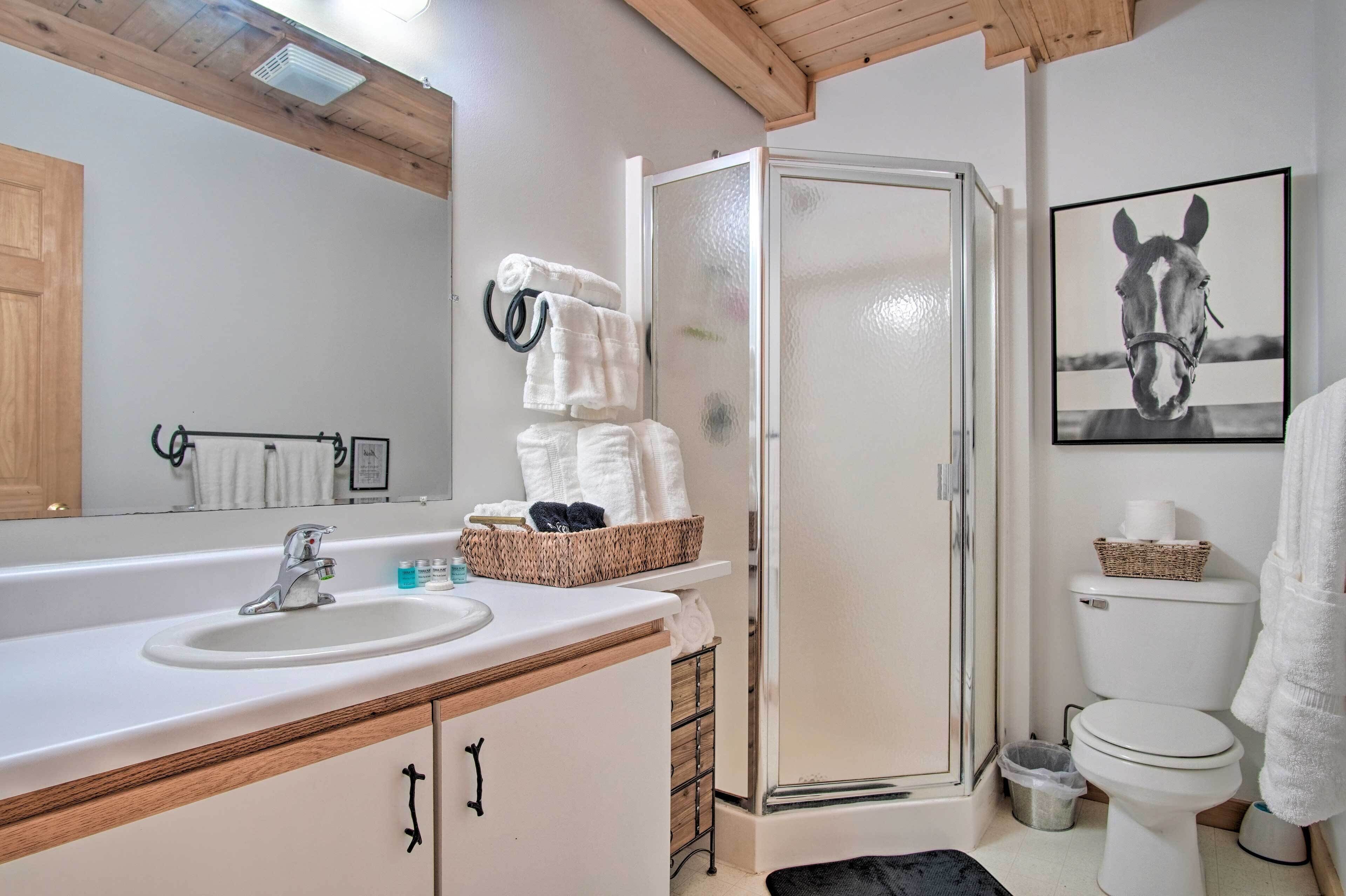 Een badkamer met een wastafel, spiegel, handdoekhouder, douche, toilet en een afbeelding van een paard aan de muur.