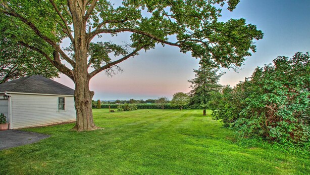 A grassy yard with a large tree and a house. - Whimsical Lancaster House w/ Porch Near Amish Farm (Lancaster)