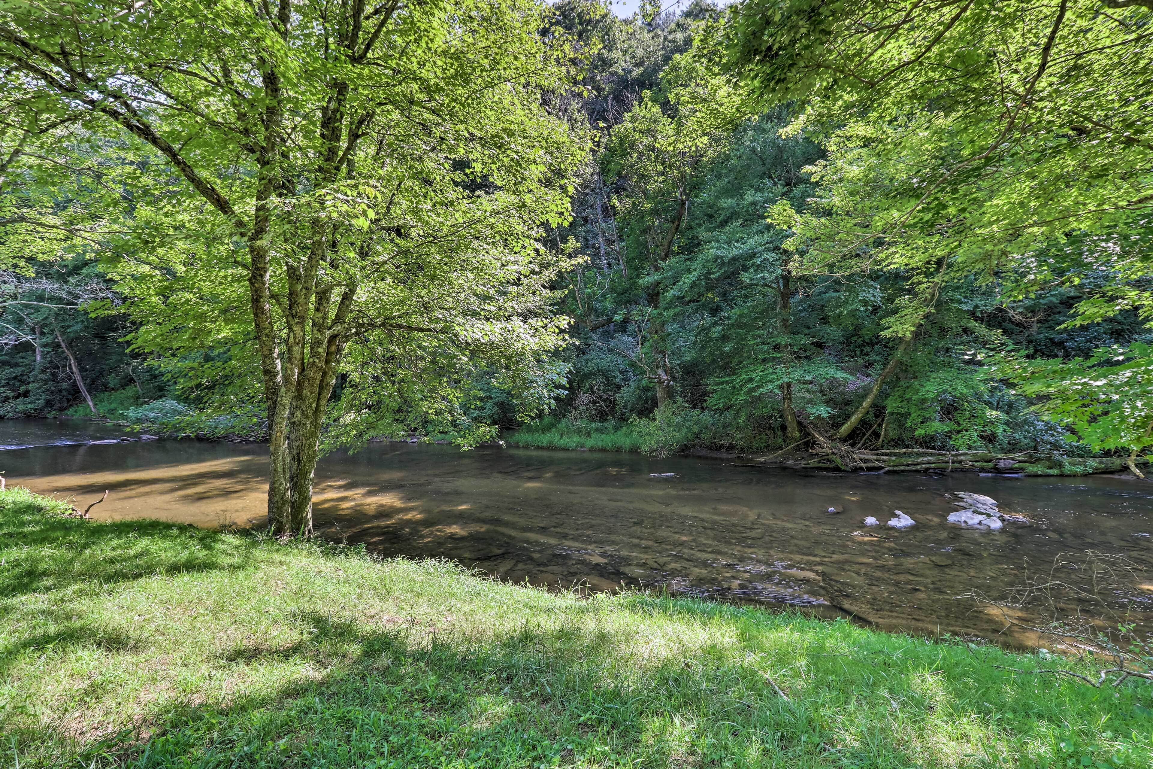 Un río que atraviesa una zona boscosa con abundante vegetación y árboles.