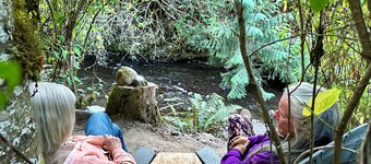 Escape to the Creekside Hideaway