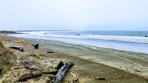 A beach with a sandy shore, scattered driftwood, and calm waves.