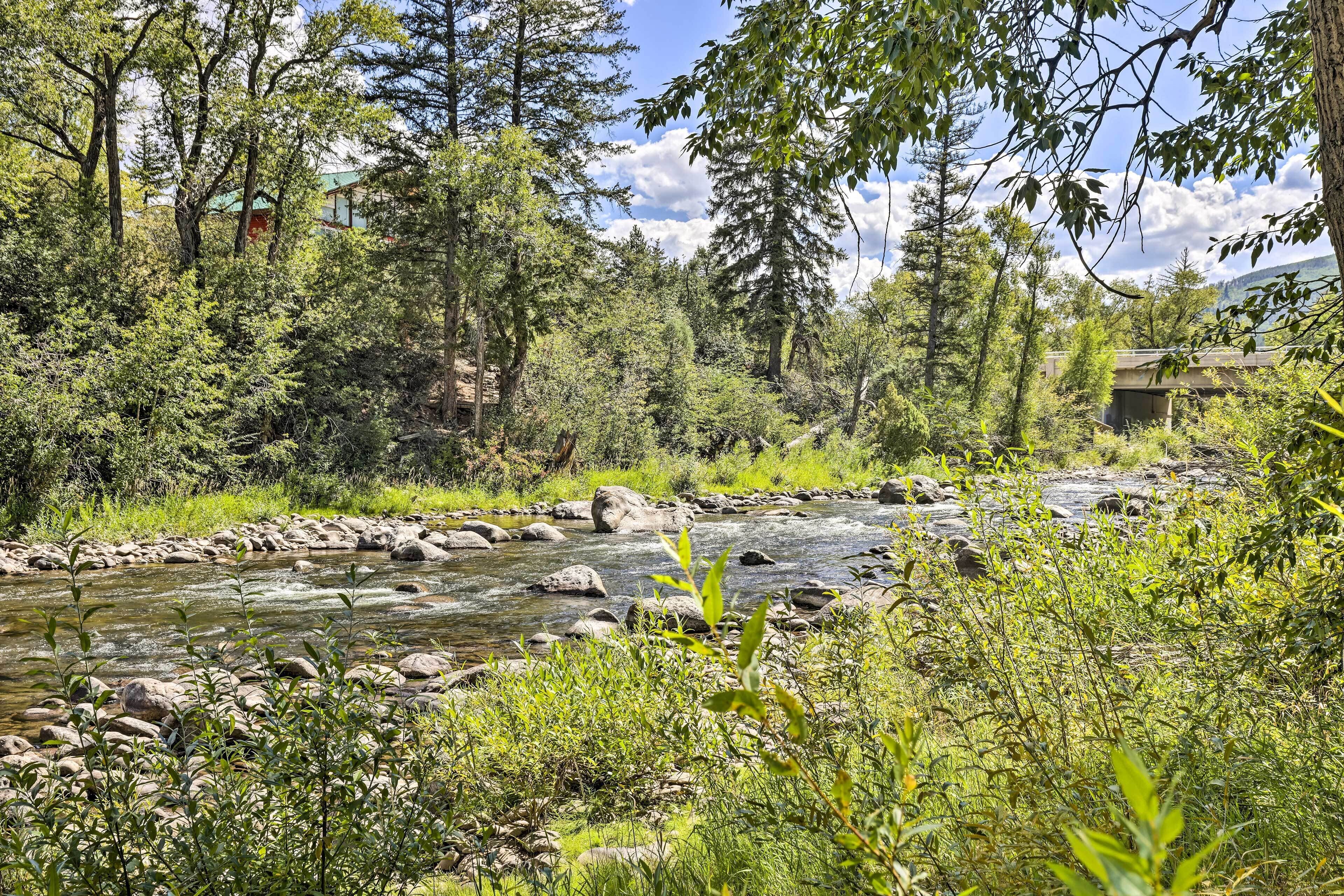 Un río serpentea por una zona boscosa con rocas y vegetación.