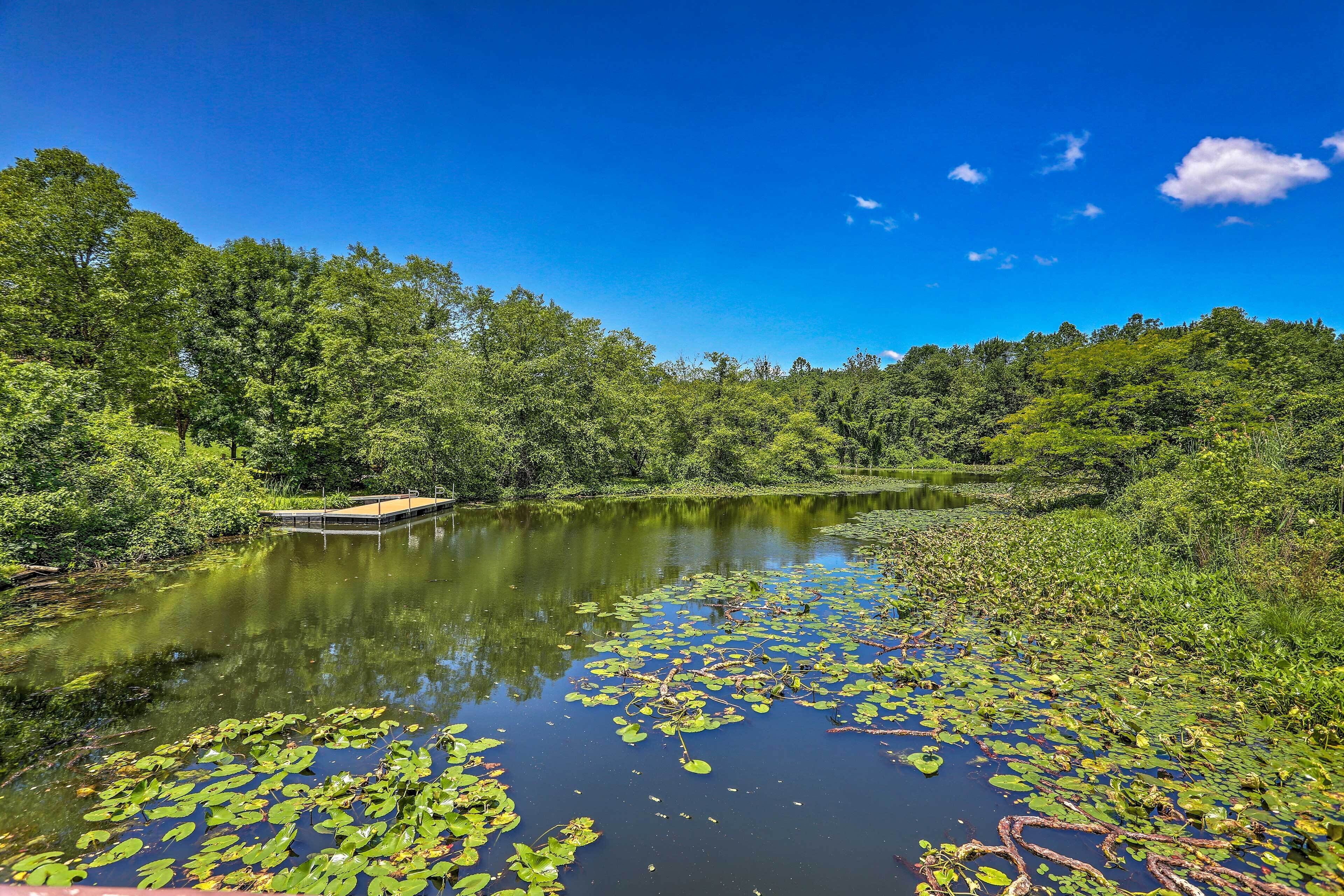 A serene lake surrounded by dense greenery and a wooden dock.