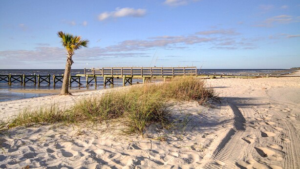Ein sandiger Strand mit einer Palme, einer Holzsteganlage und blauem Himmel.