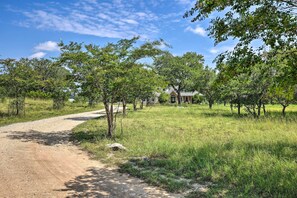 A rural road leading to a house surrounded by trees.