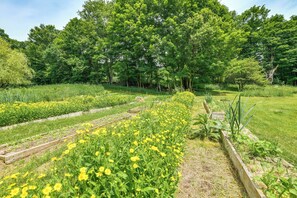 Un jardin avec des plates-bandes surélevées où poussent des fleurs jaunes et des plantes vertes, le tout entouré d’arbres.