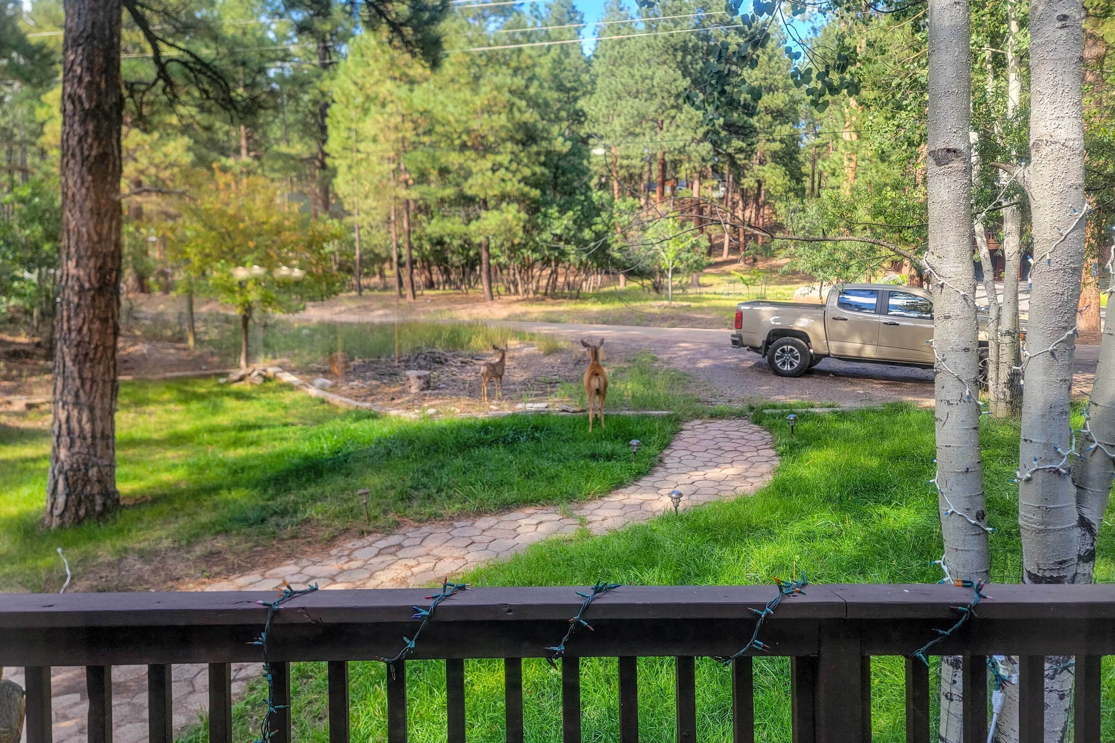 ハウス (3 Bedrooms) | 内装