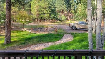 Casa (3 Bedrooms) | Interni