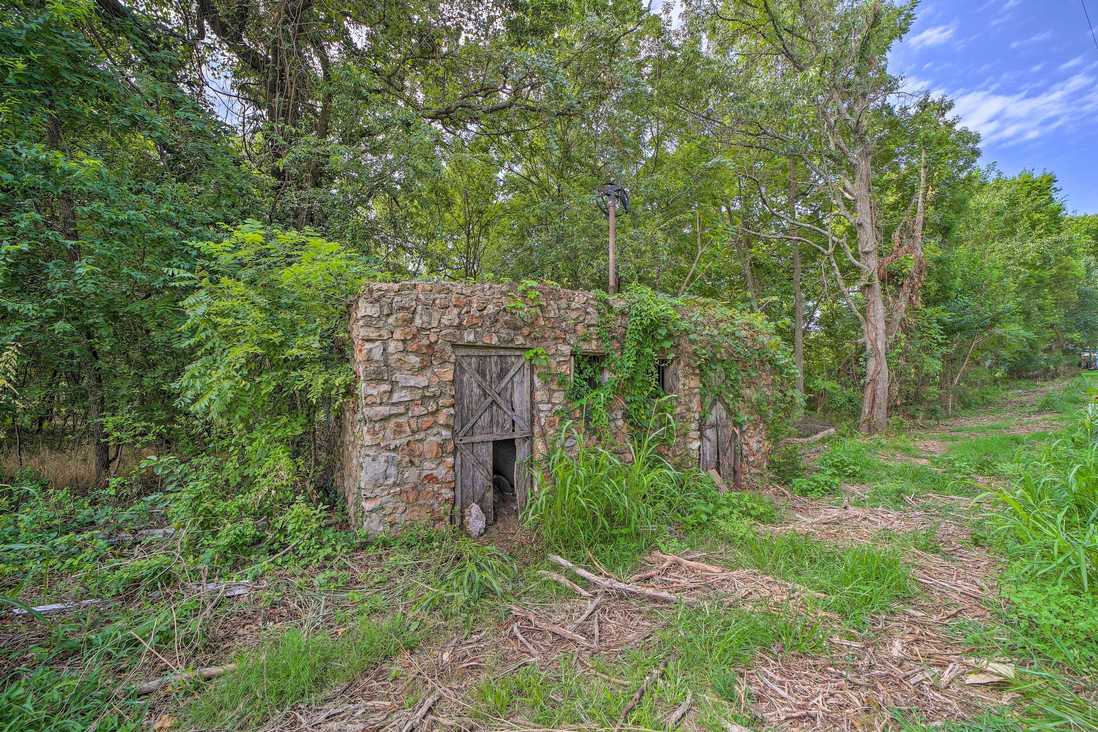 Una construcció rústica de pedra amb una porta de fusta, envoltada d'una vegetació densa i arbres.