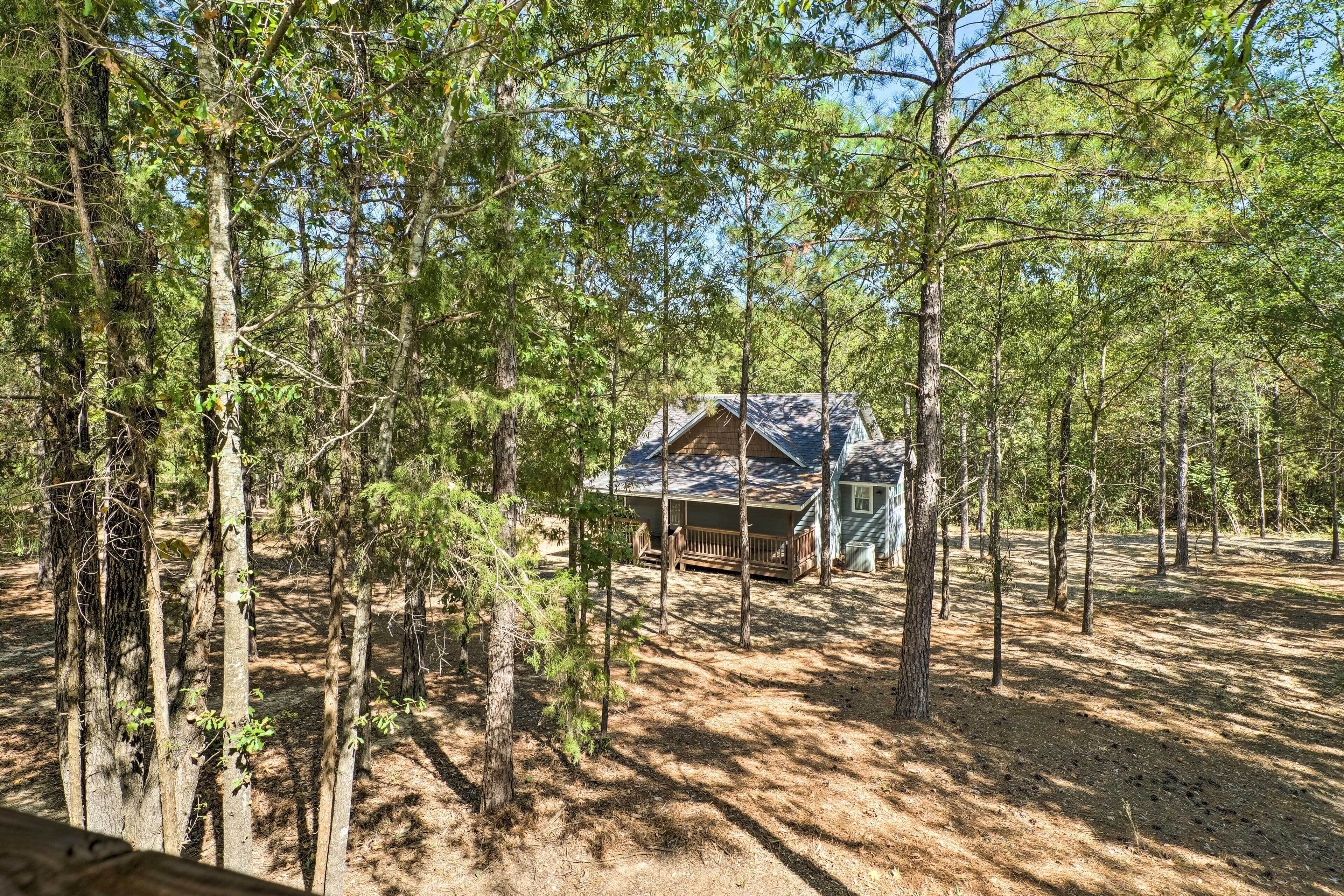 A cabin surrounded by tall pine trees in a forested area.