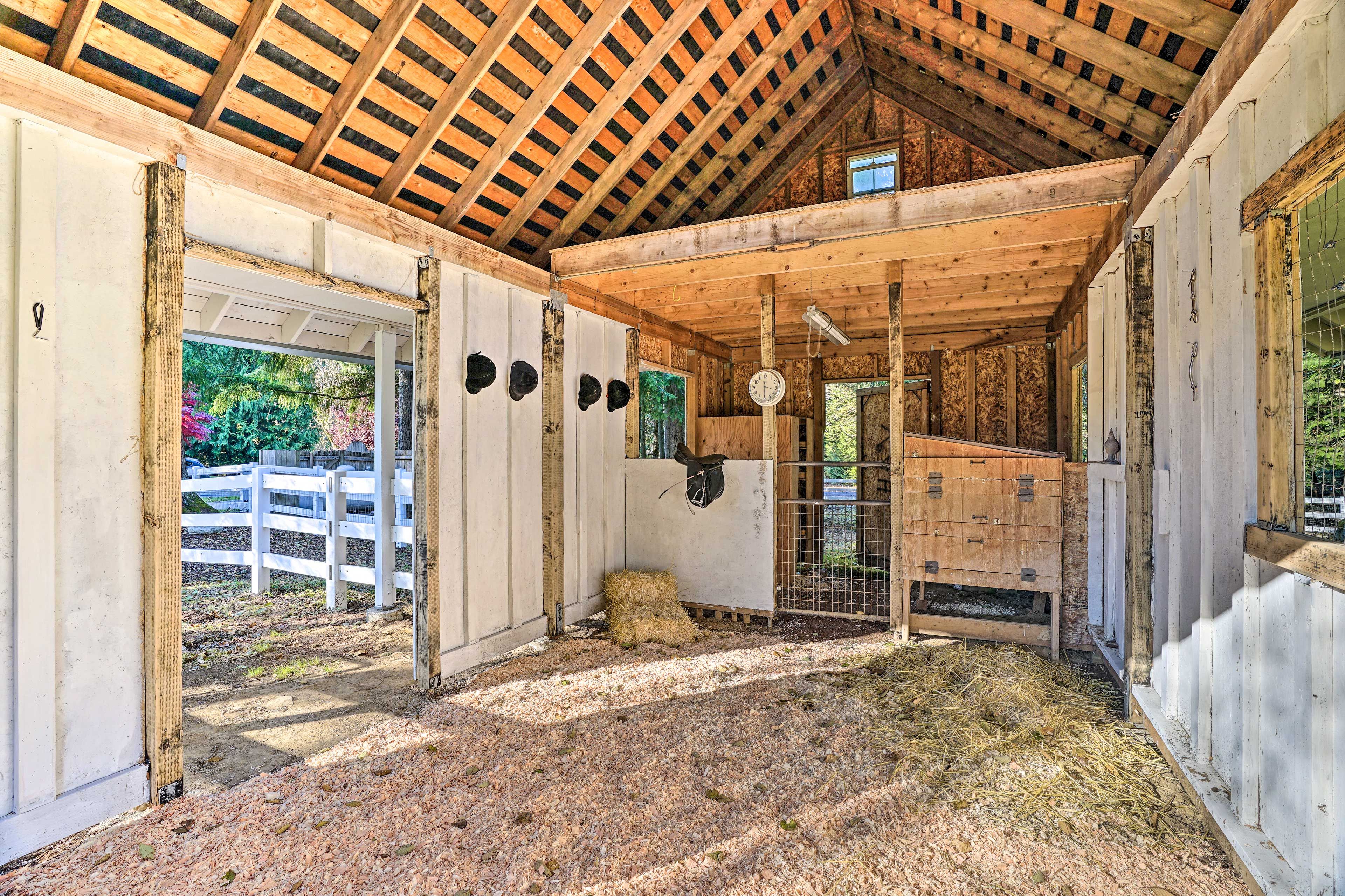 A barn interior with wooden beams, hay on the floor, and a white fence outside.