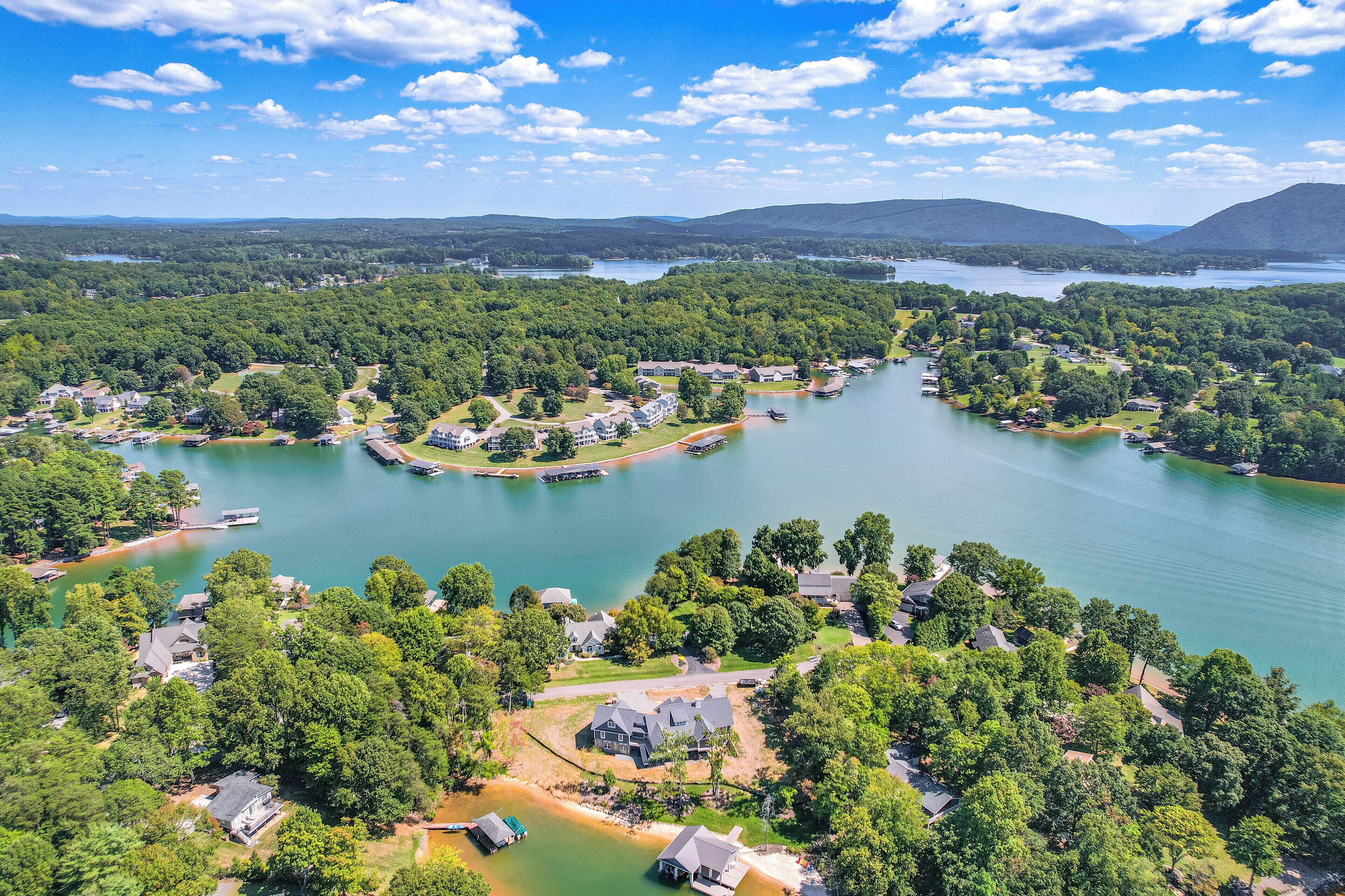 An aerial view of a lakeside community with houses, docks, and boats.