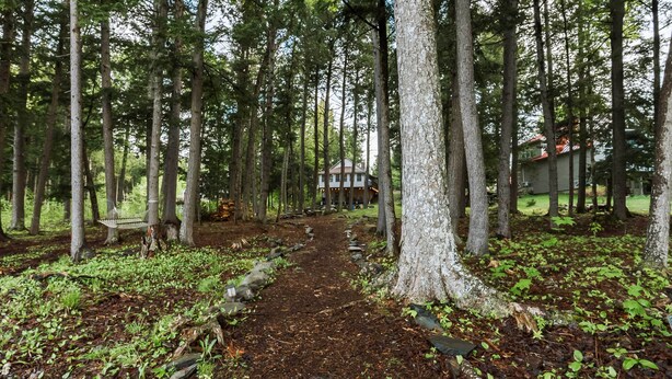 A forested area with a dirt path leading to a building. - Waterfront Sebec Lake Home w/ Yard + Fire Pit (Dover-Foxcroft)
