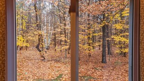 Vista de un bosque a través de una ventana, con árboles desnudos y hojas caídas.