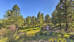 A cabin in a forested area with a clear sky.