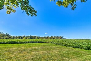 Ferienhaus (5 Bedrooms) | Innenbereich