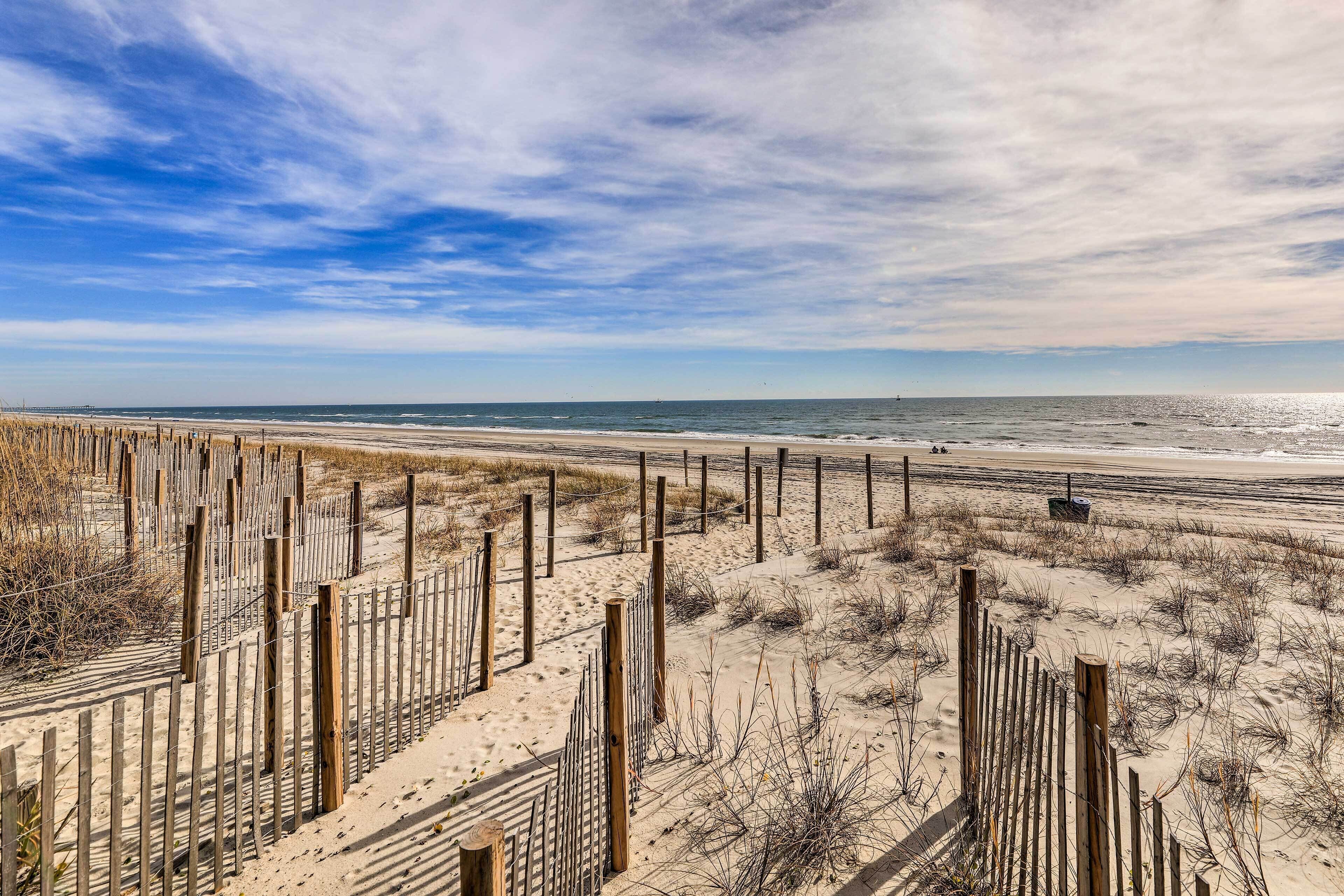 Een zanderig strand met houten omheiningen en schaarse begroeiing.