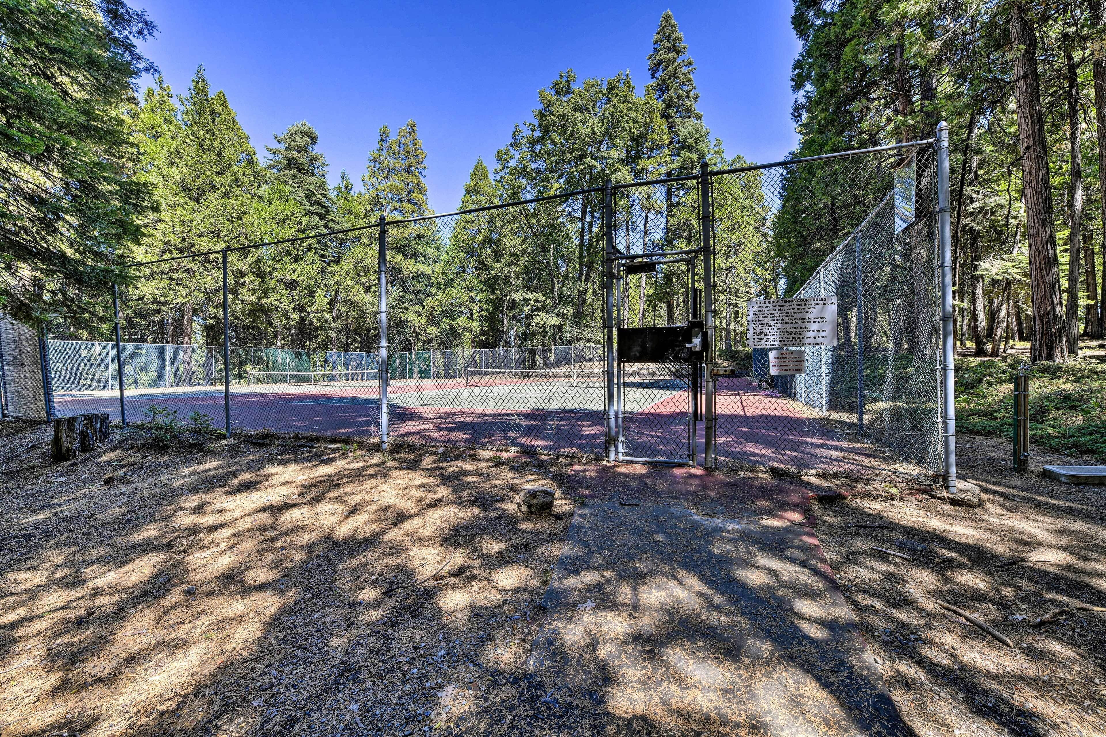 Un'area esterna recintata con un campo da basket, circondata da alberi.