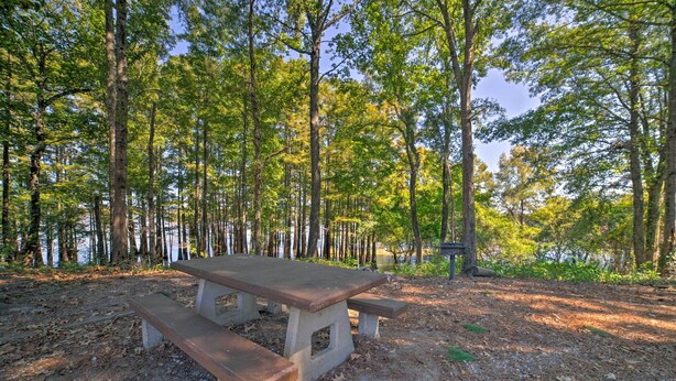 Una mesa de picnic en un área boscosa con un lago al fondo.