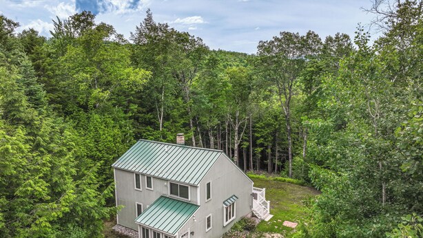 A two-story house with a green roof, surrounded by dense forest.