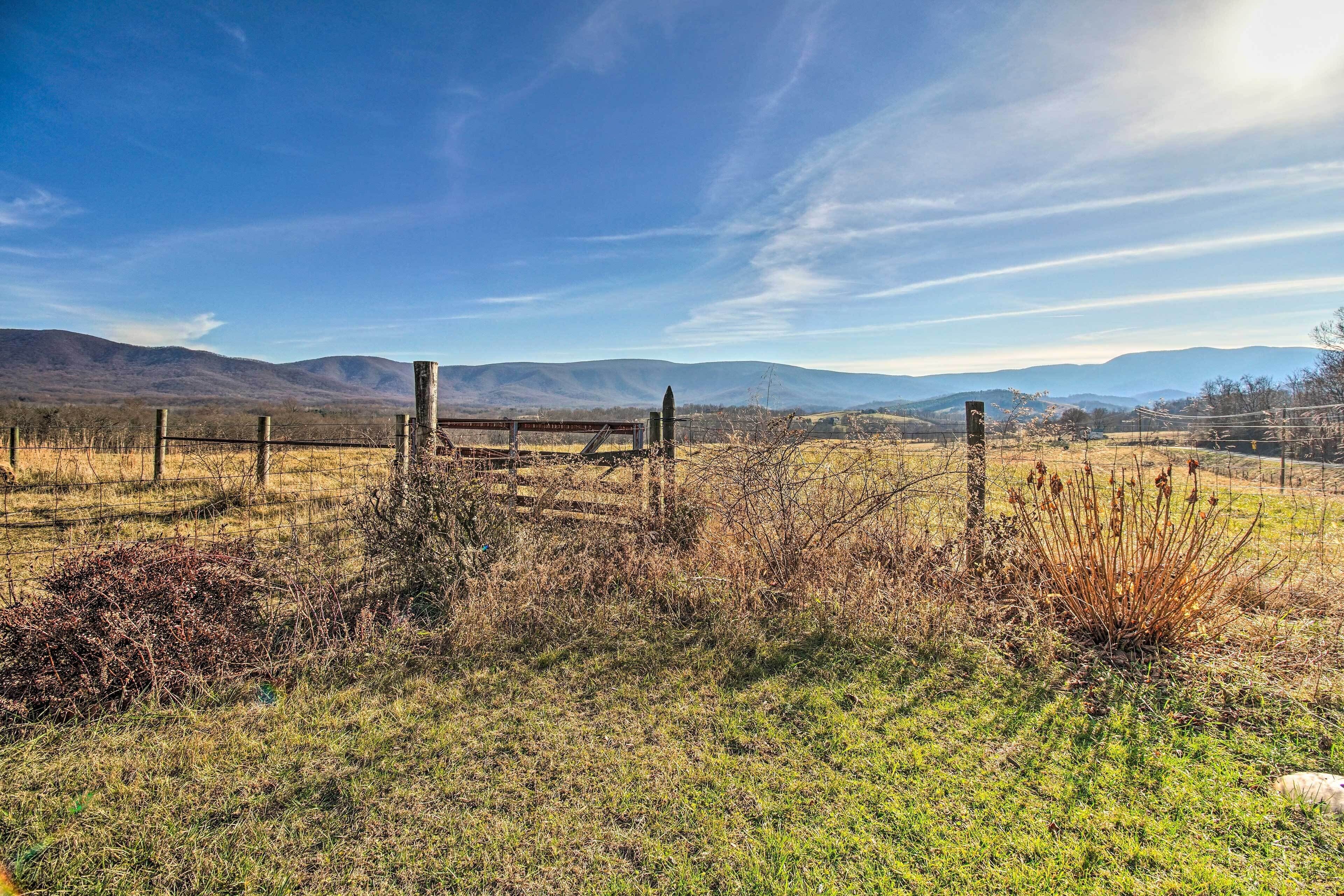 منزل (3 Bedrooms) | المنشأة من الداخل