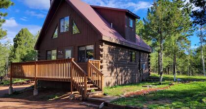 Divide Cabin in the Heart of Colorful Colorado!