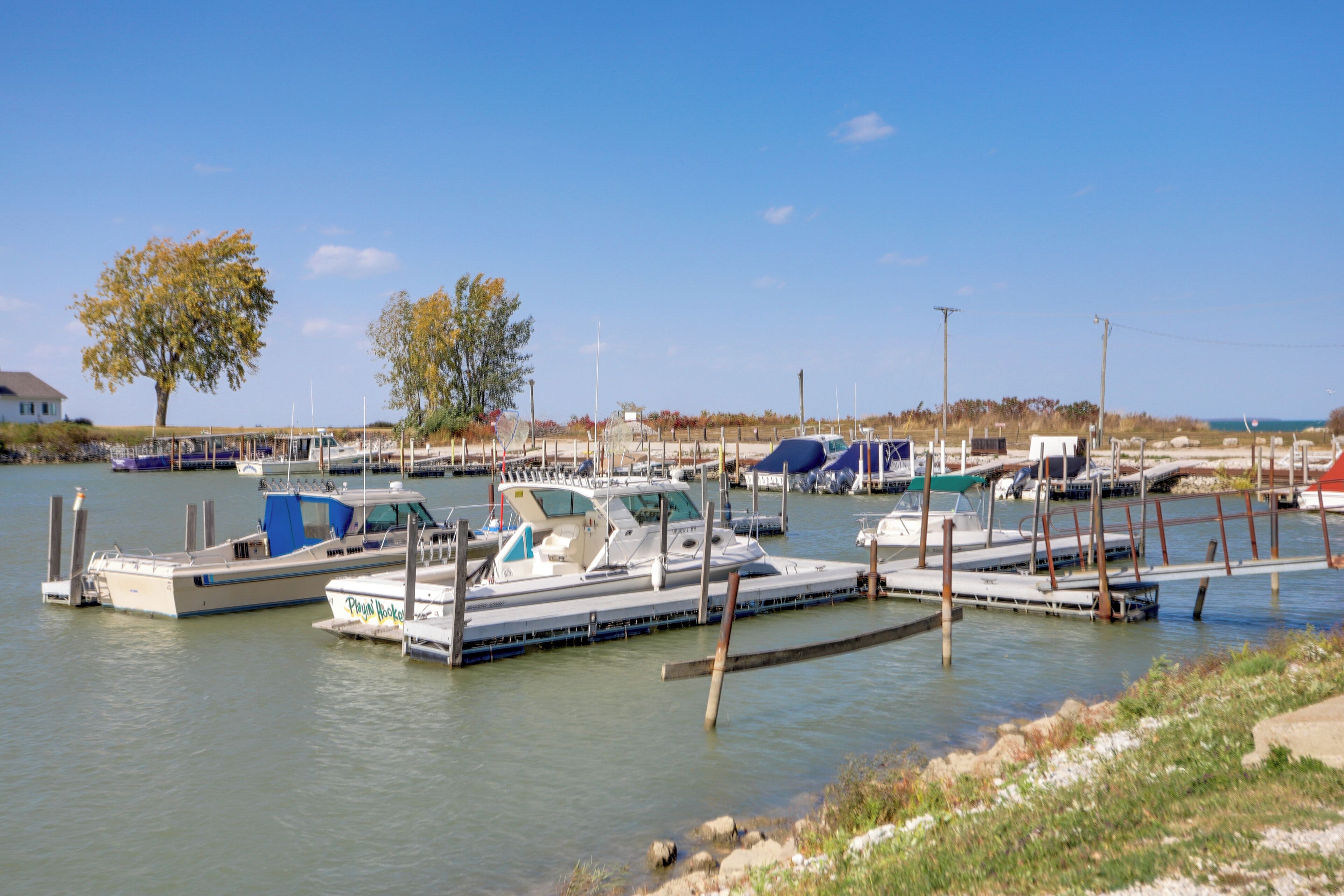 A marina with several boats docked, a clear sky, and a tree in the background.