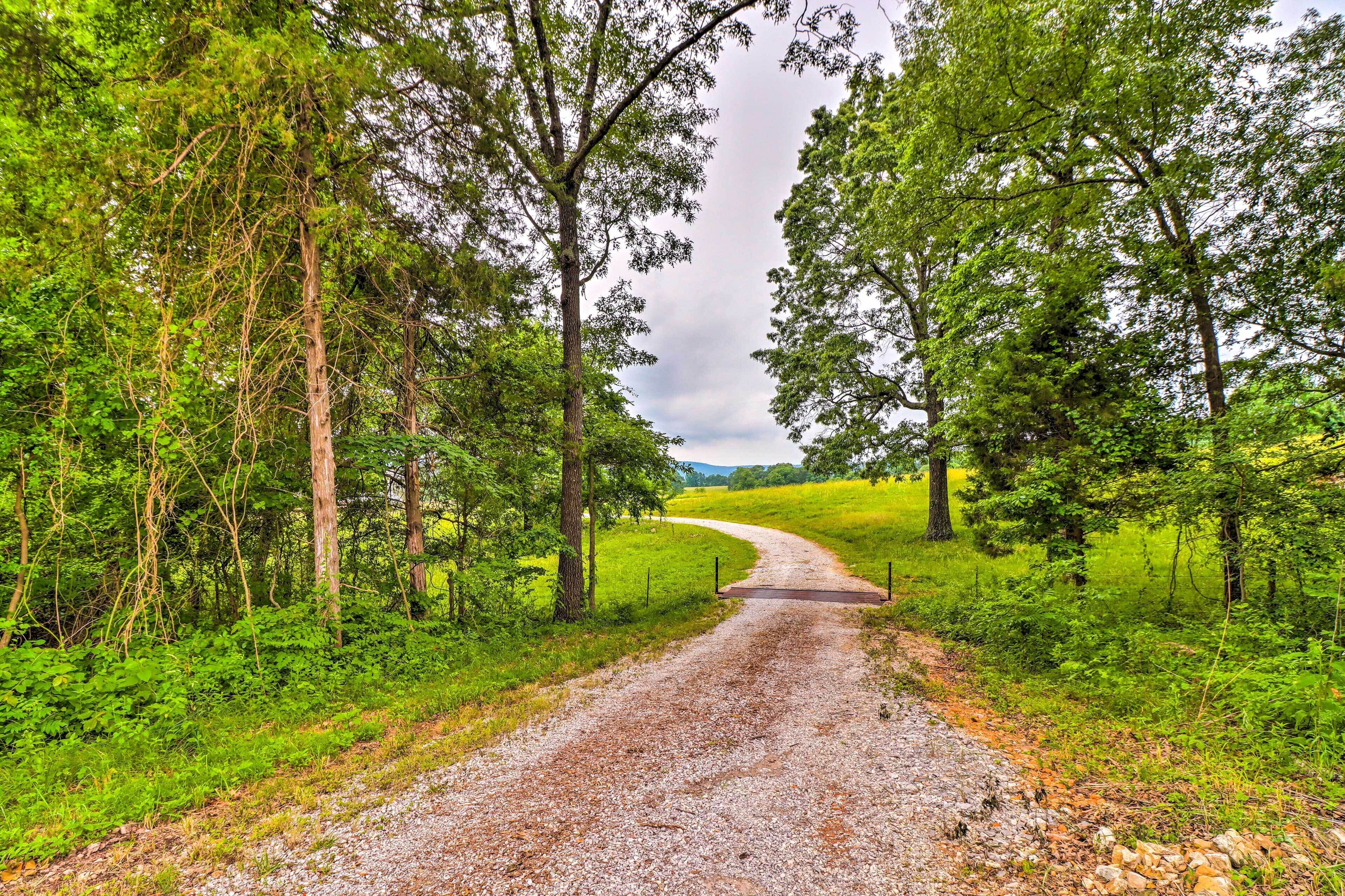 A gravel path flanked by trees in a rural setting.