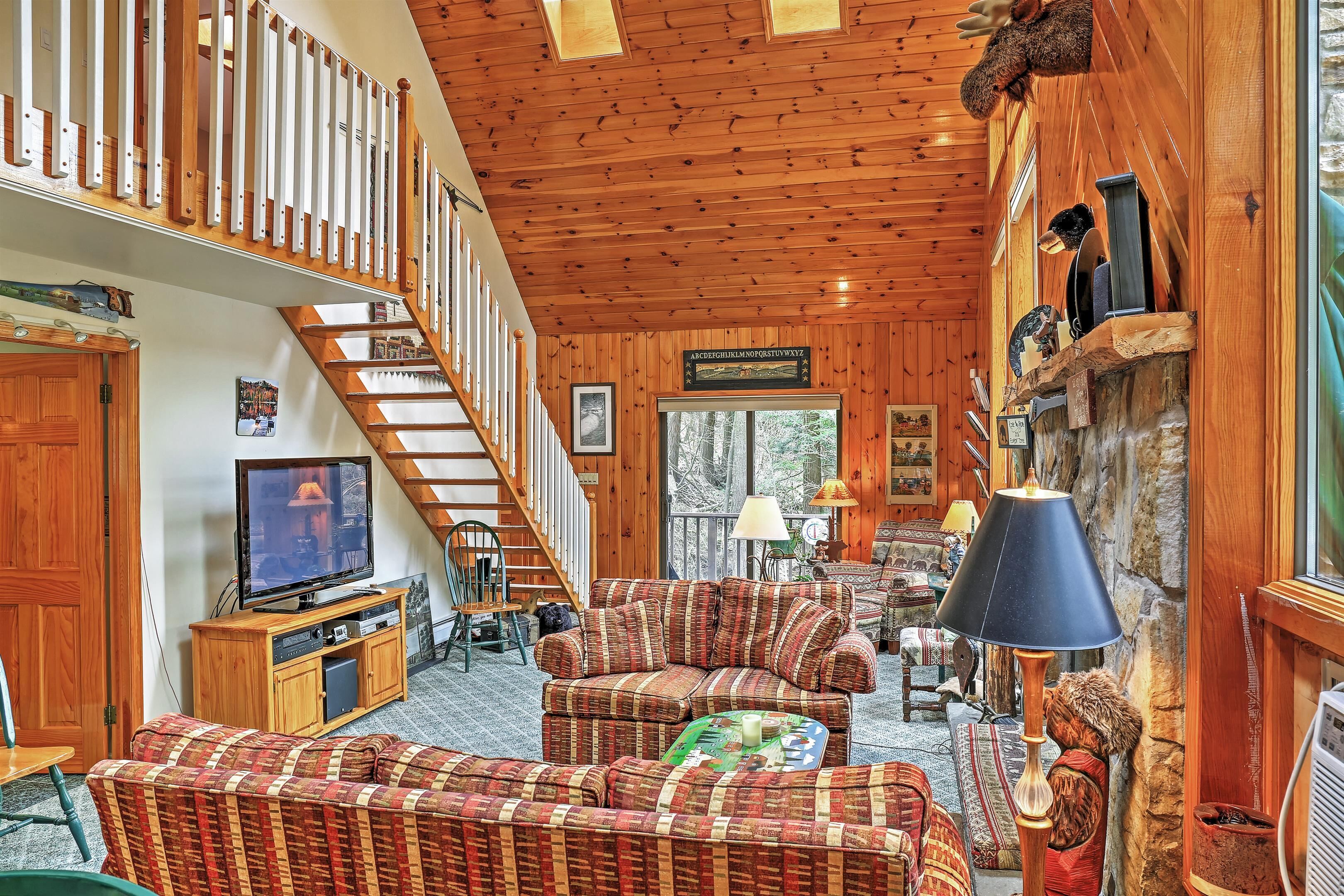 TV, fireplace, books