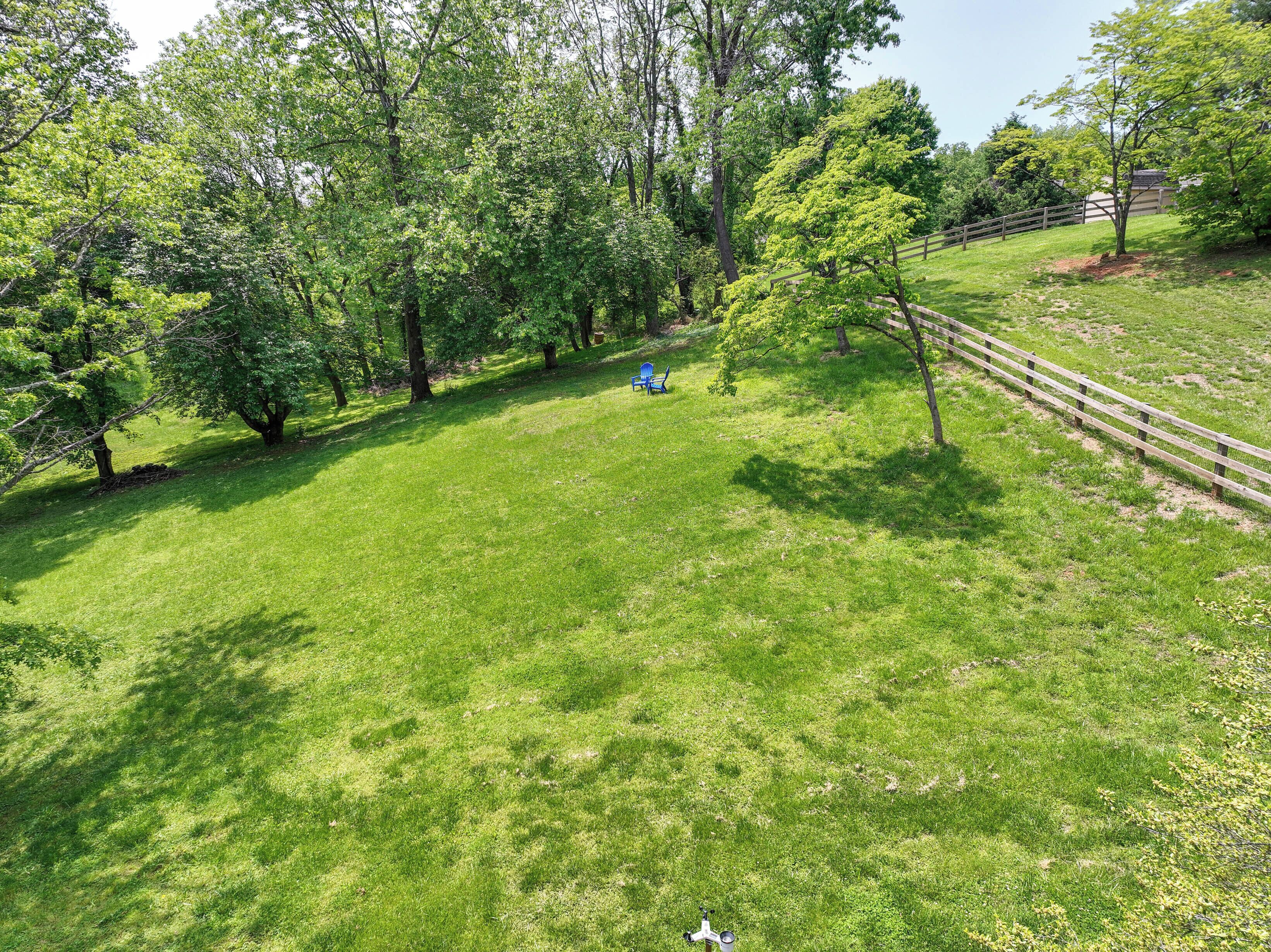 A grassy area with trees and a wooden fence.