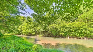 A river surrounded by lush greenery and dense trees. - Tamaqua Apartment w/ Fire Pit & Gas Grill! (Tamaqua)