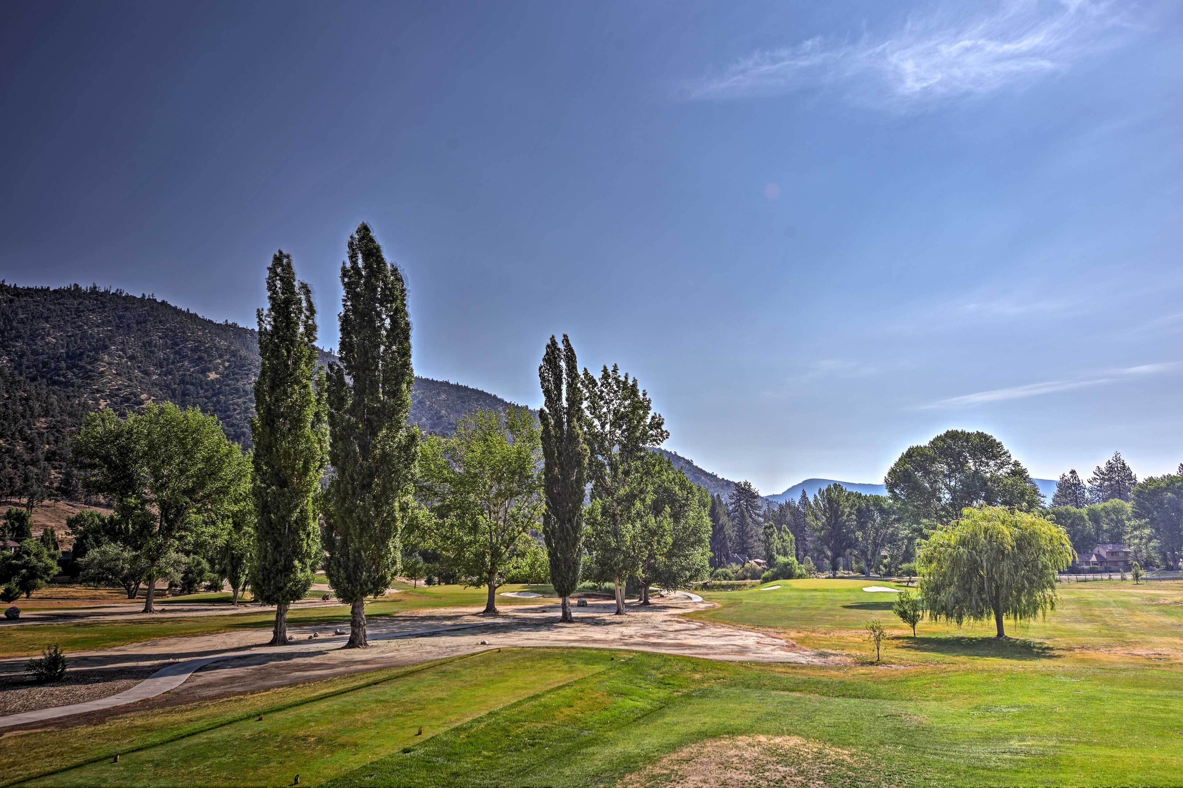 Ein Golfplatz mit ordentlich gestutztem Rasen, einigen Bäumen und einem klaren Himmel.