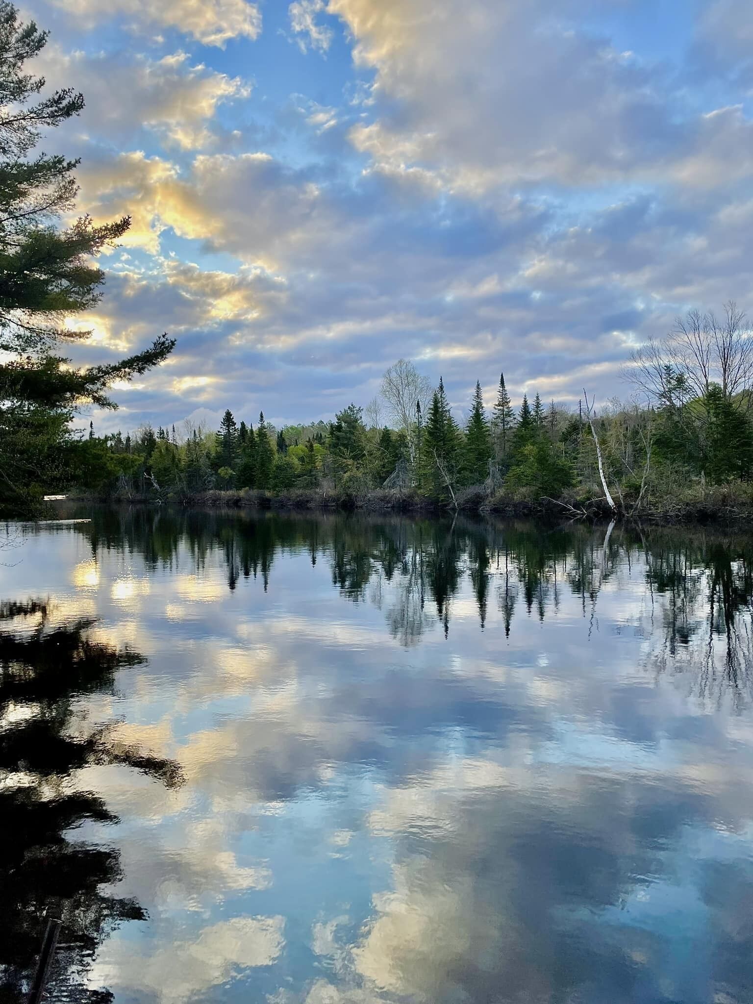 Ein ruhiger See spiegelt Bäume und einen bewölkten Himmel.