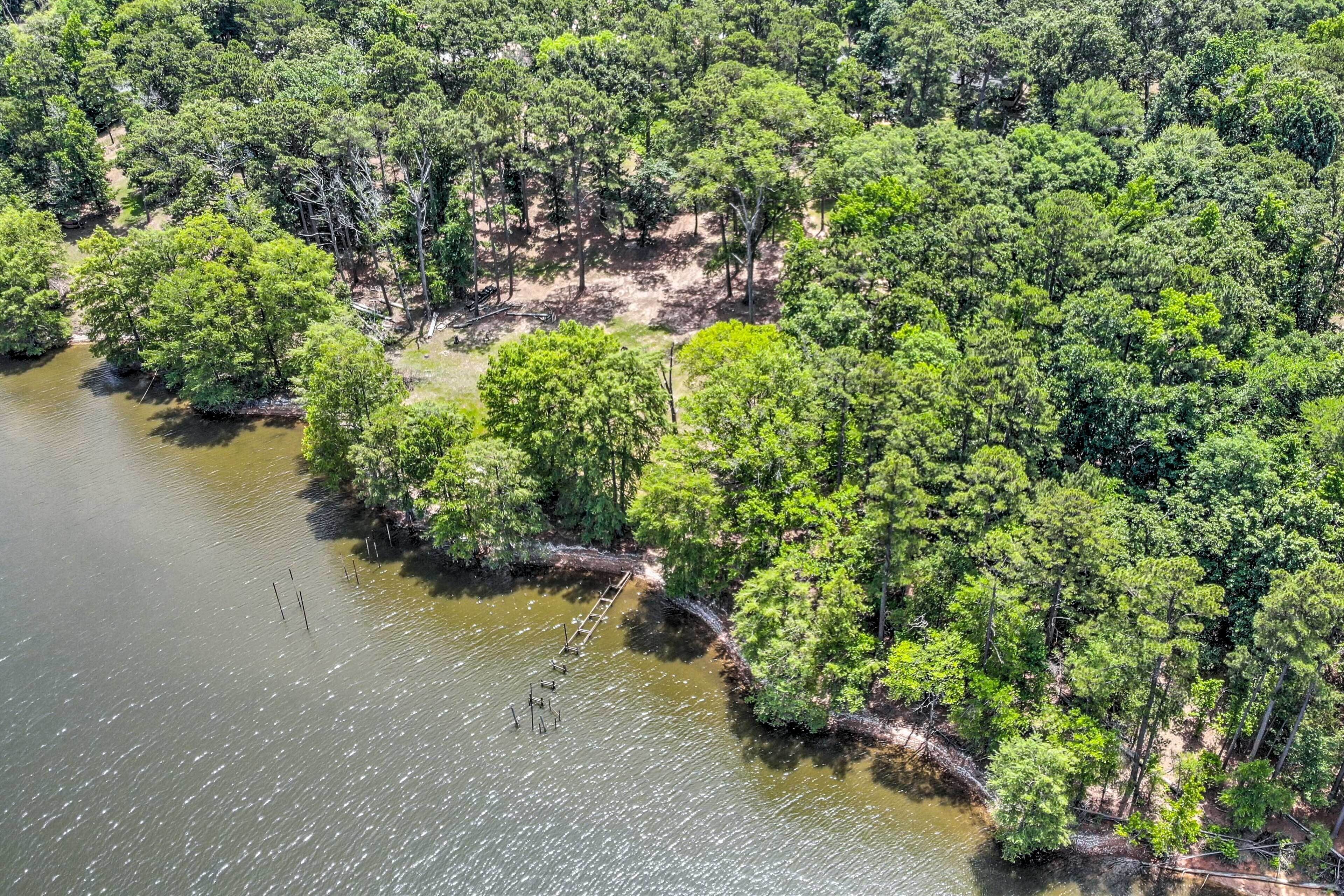 An aerial view of a forested area with a river, trees, and a small dock.