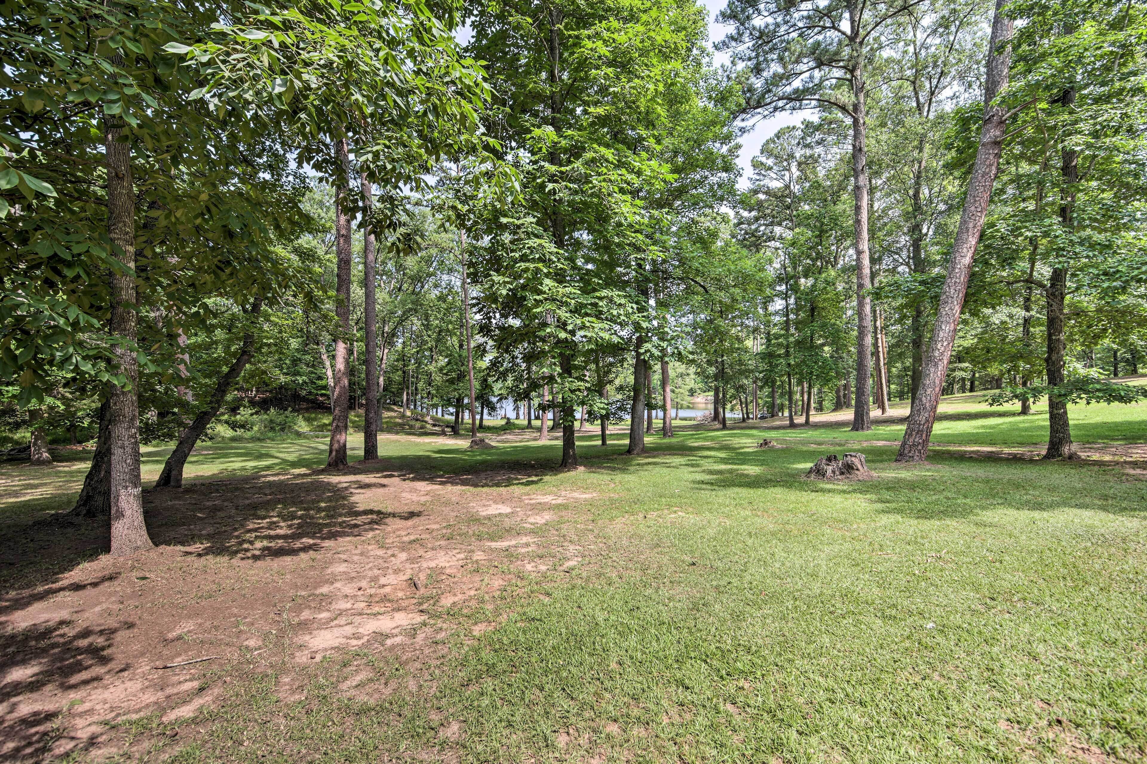 Un parc amb un camí de terra, zones enjardinades i arbres alts.