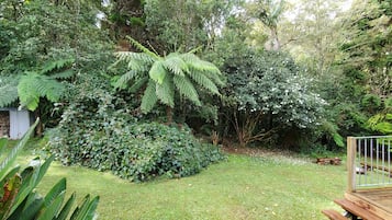 Rumah Comfort | Pemandangan taman