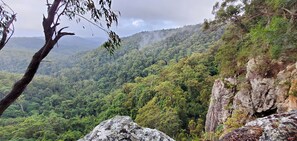 A mountainous landscape with dense forest and rocky cliffs. - The Bower at Purling Brook (Springbrook)