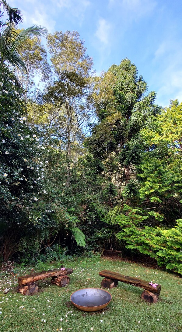 A garden with a wooden bench, a metal bowl, and dense foliage.