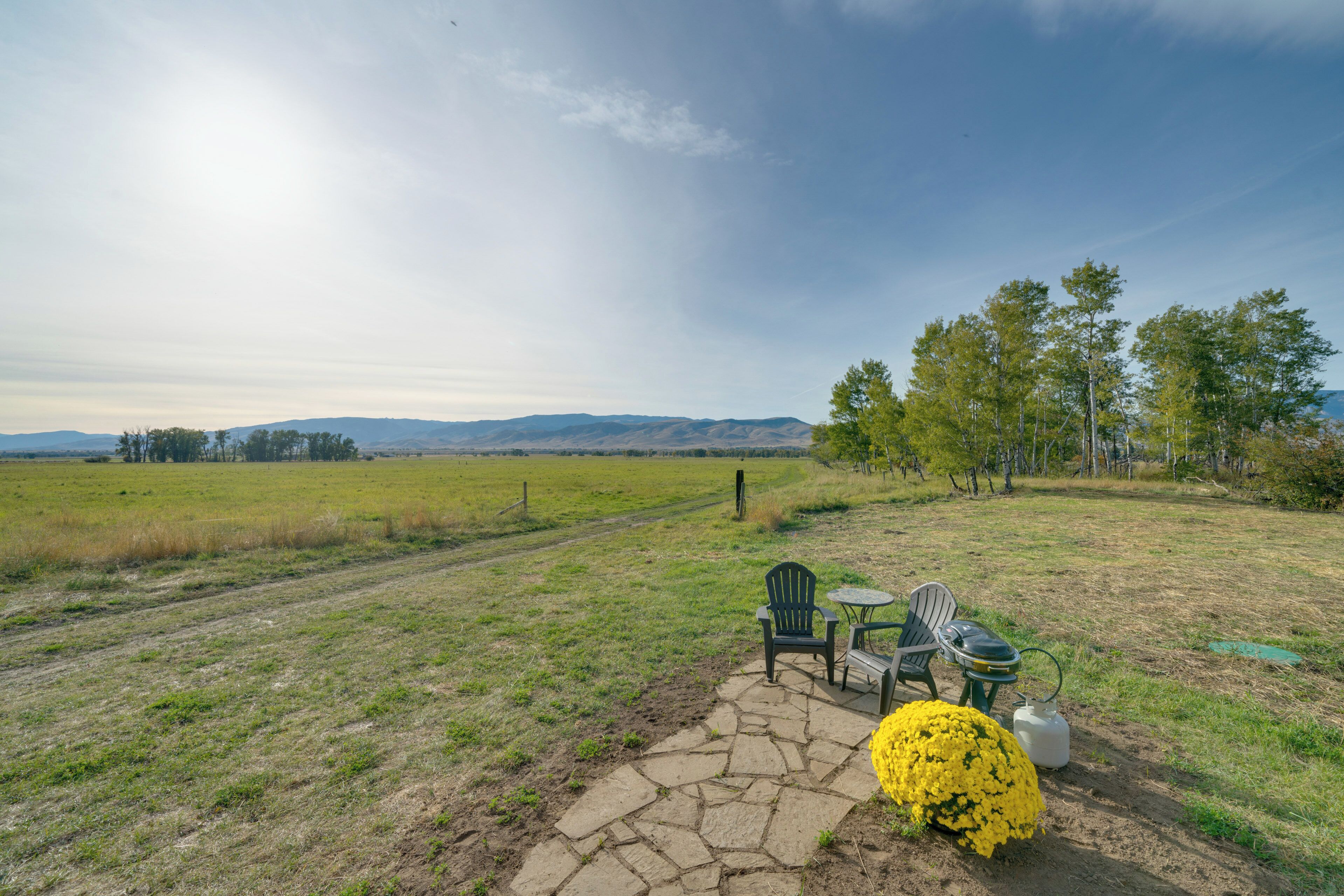 A stone patio with outdoor furniture, a yellow flower, and a view of a rural landscape with trees and hills.