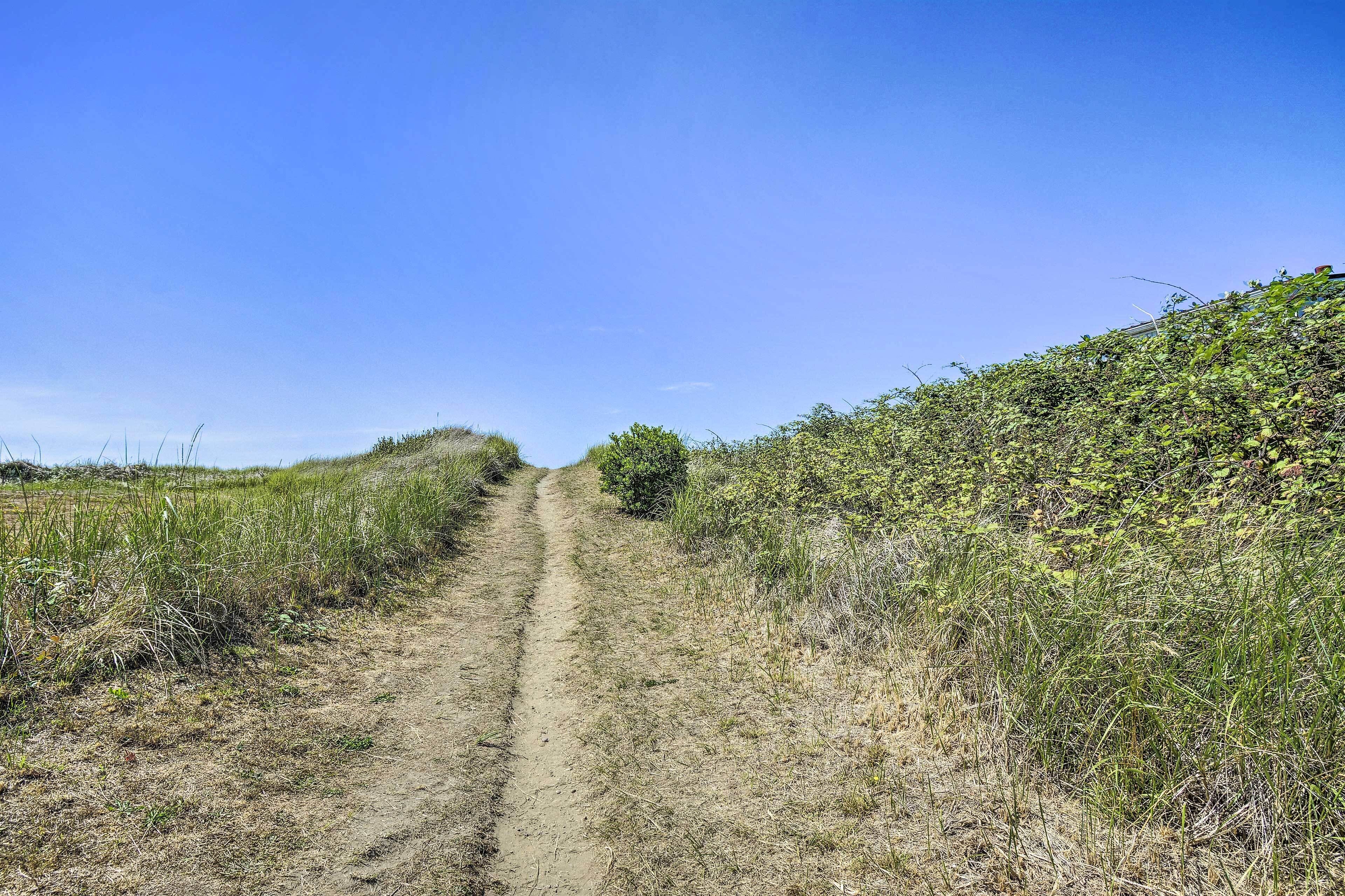A dirt path flanked by dense vegetation and a clear blue sky.