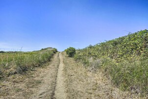 Sendero de tierra bordeado por vegetación densa y un cielo azul despejado.